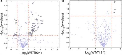 Toll-Like Receptor 2 Is a Regulator of Circadian Active and Inactive State Consolidation in C57BL/6 Mice